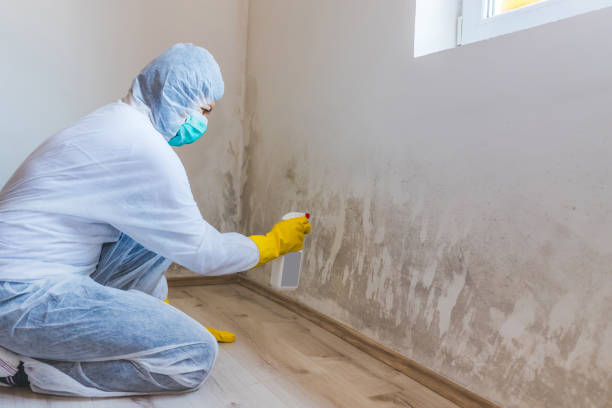 Licensed Mold Testing service in Lyndhurst, NJ - WQB Mold Removal