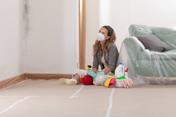 Reliable Mold Testing contractor in Lyndhurst, NJ by WQB Mold Removal